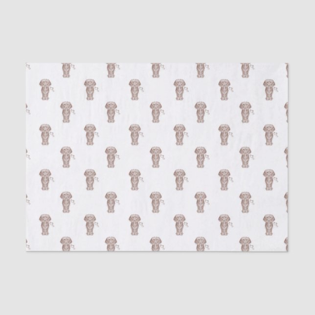 Cute Long Haired Dachshund Sausage Dog Tissue Paper (Front)