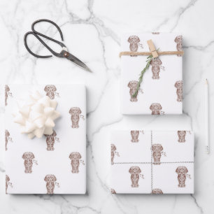 Cute Long Haired Dachshund Sausage Dog Wrapping Paper Sheets