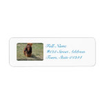 Cute Long Haired Daschund Label