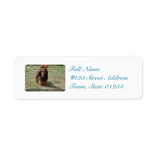 Cute Long Haired Daschund Label