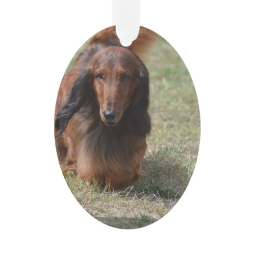 Cute Long Haired Daschund Ornament