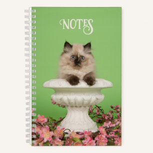 Cute Long-Haired Siamese Cat Notebook