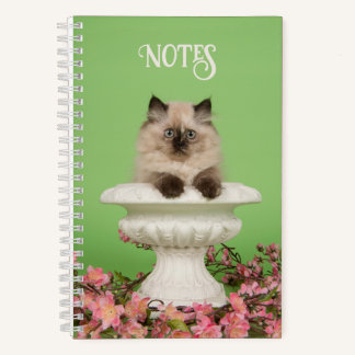 Cute Long-Haired Siamese Cat Notebook