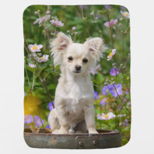 Cute longhair cream Chihuahua Dog Puppy Pet Photo Baby Blanket