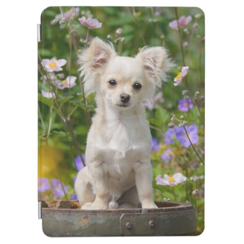 Cute longhair cream Chihuahua Dog Puppy Pet Photo iPad Air Cover