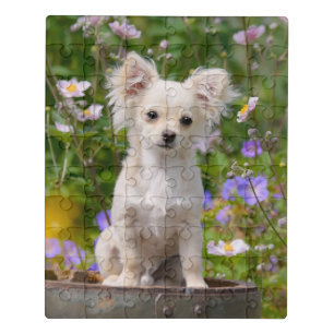 Cute longhair cream Chihuahua Dog Puppy Pet Photo Jigsaw Puzzle