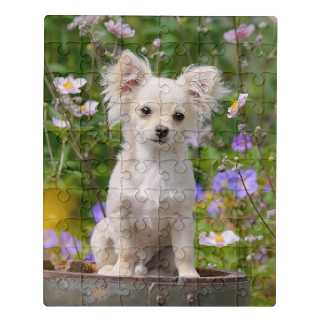 Cute longhair cream Chihuahua Dog Puppy Pet Photo Jigsaw Puzzle (Puzzle Vertical)