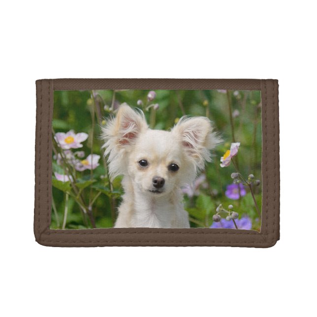 Cute longhair cream Chihuahua Dog Puppy Pet Photo Trifold Wallet (Front)