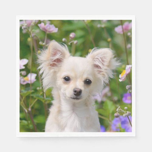 Cute longhair cream Chihuahua Dog Puppy Photo on _ Paper Napkins