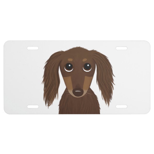 Cute Longhaired Chocolate Brown Dachshund Dog License Plate (Front)