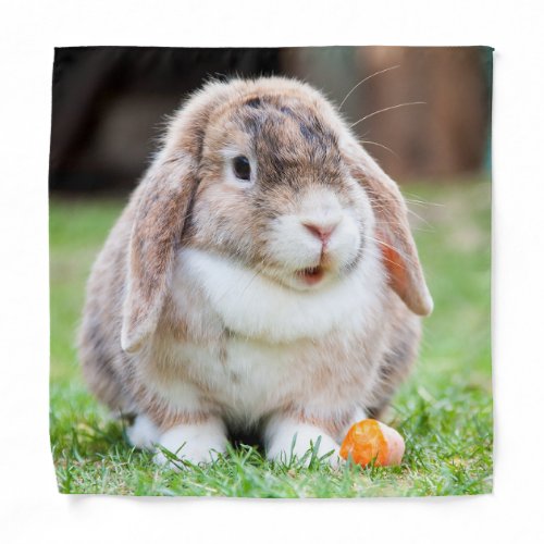 Cute lop_eared rabbit  bandana
