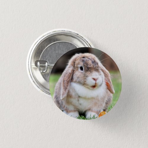 Cute lop_eared rabbit  button
