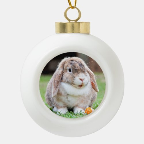 Cute lop_eared rabbit   ceramic ball christmas ornament