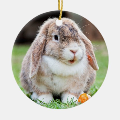 Cute lop_eared rabbit   ceramic ornament