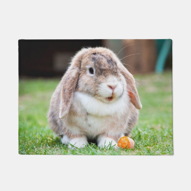Cute lop-eared rabbit   doormat (Front)