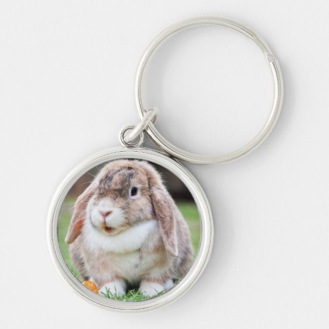 Cute Lop-Eared Rabbit in Grass with Carrot Keychain (Front)