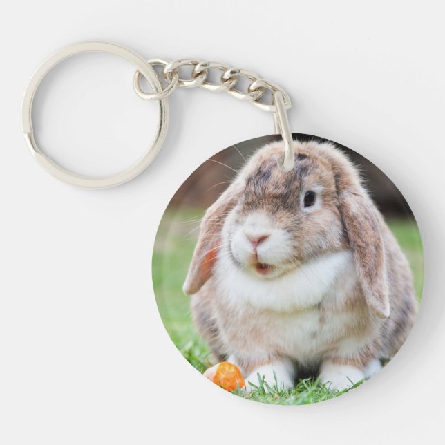 Cute Lop-Eared Rabbit in Grass with Carrot Keychain (Front)