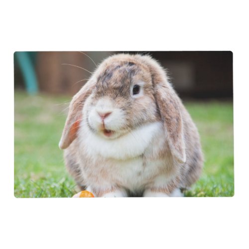 Cute Lop_Eared Rabbit in Grass with Carrot Placemat