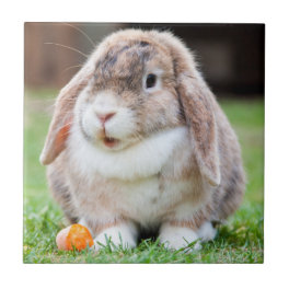 Cute Lop-Eared Rabbit in Grass with Carrot Tile