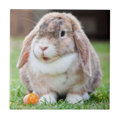 Cute Lop_Eared Rabbit in Grass with Carrot Tile