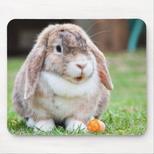 Cute Lop Eared Rabbit in the Grass with Carrot Mouse Pad