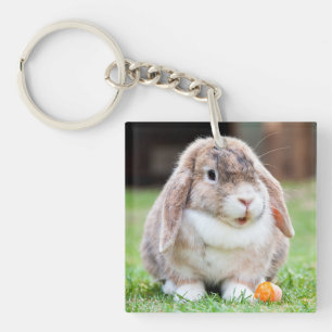 Cute lop-eared rabbit keychain