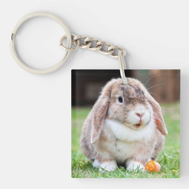 Cute lop-eared rabbit   keychain (Front)