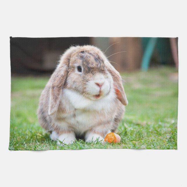 Cute lop-eared rabbit   kitchen towel (Horizontal)