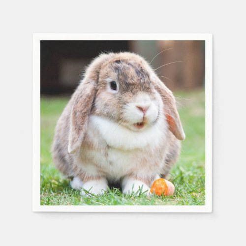 Cute lop_eared rabbit napkins