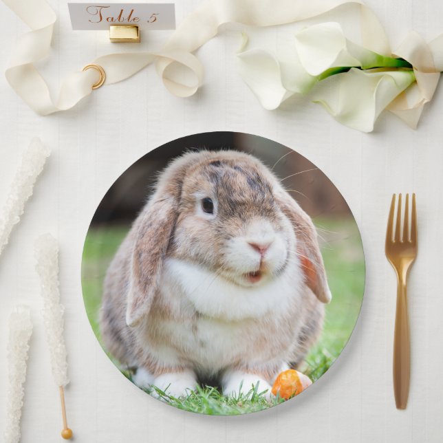 Cute lop-eared rabbit  paper plates (Wedding)