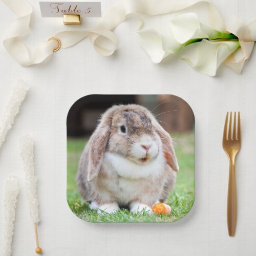 Cute lop_eared rabbit  paper plates