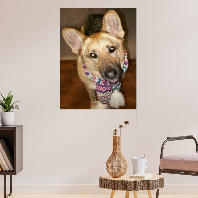 Cute Lovable German Shepherd Dog with Scarf Poster (Living Room 3)