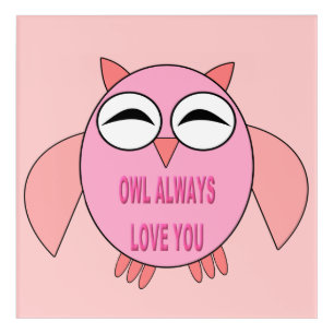 Cute Love Message Owl Acrylic Wall Art