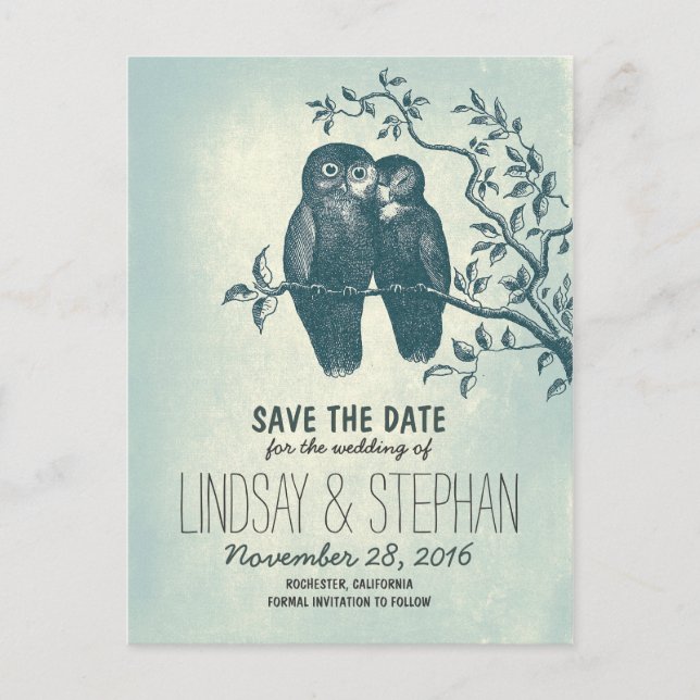 cute love owls couple save the date postcards (Front)