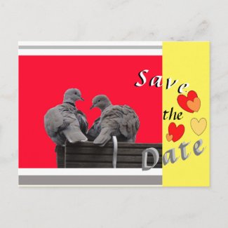 Cute Lovebirds SAVE THE DATE Hearts Postcard