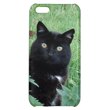 Cute Lucky Black Cat On Iphone 5c Case