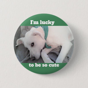 Cute Lucky White Dog Wearing Green Scarf Button
