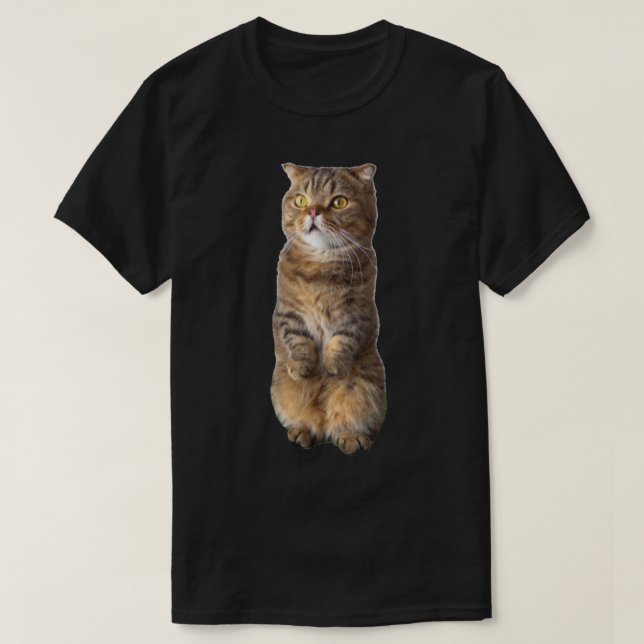 Cute LuLu standing ( Kittisaurus )   T-Shirt (Design Front)