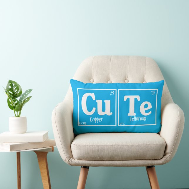 Cute Lumbar Pillow (Chair)