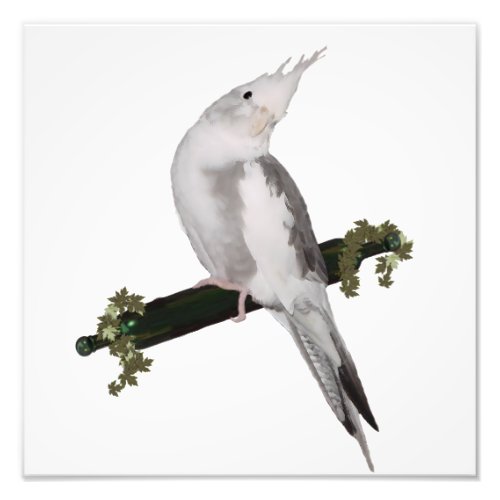 Cute Lutino Cockatiel Bird Ivy Perch Animal Photo Print