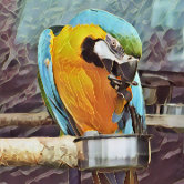 https://rlv.zcache.com/cute_macaw_cake_pan-r_80ru7t_166.jpg