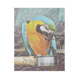 CUTE MACAW GALLERY WRAP