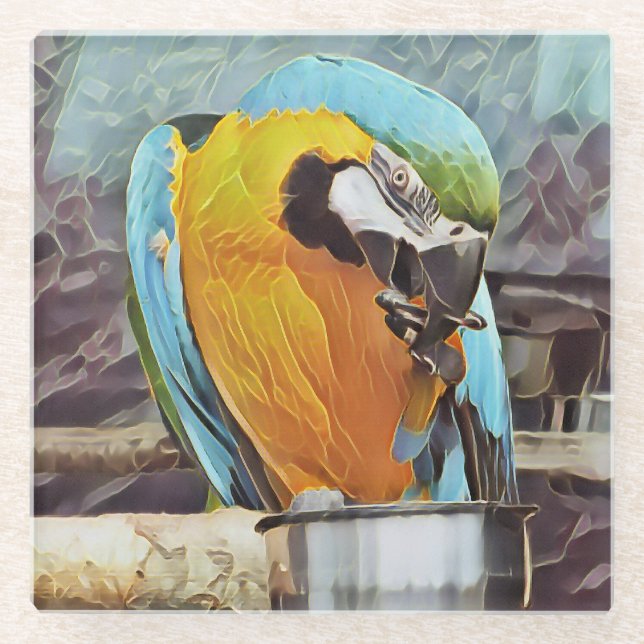 CUTE MACAW GLASS COASTER (Front)