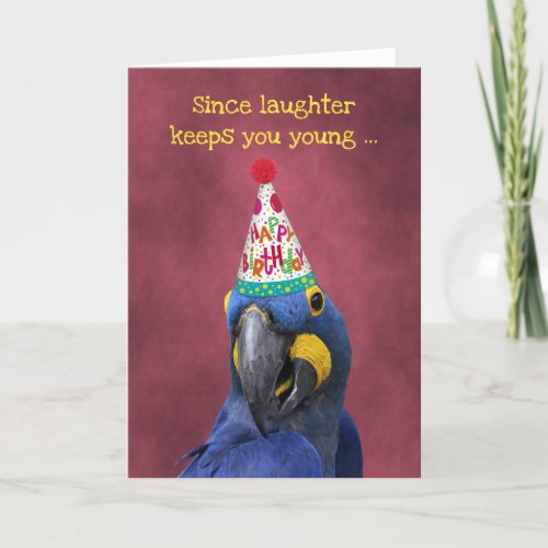 Cute Macaw Keep Laughing  Birthday Card