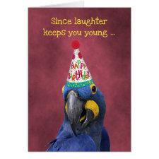 Cute Macaw Keep Laughing  Birthday Card