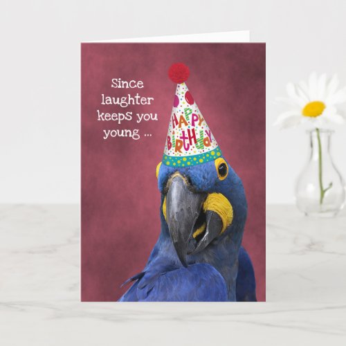 Cute Macaw Laugh to Stay Young Birthday Card