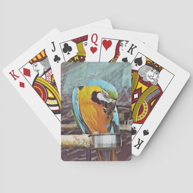 CUTE MACAW POKER CARDS (Back)