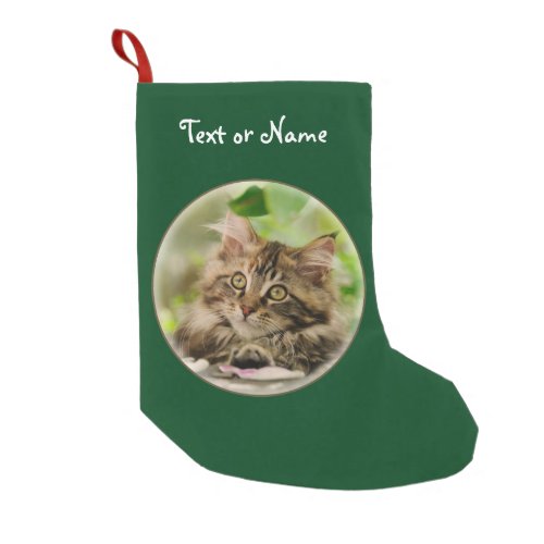 Cute Maine Coon Cat Kitten _ Personalized Santa Small Christmas Stocking