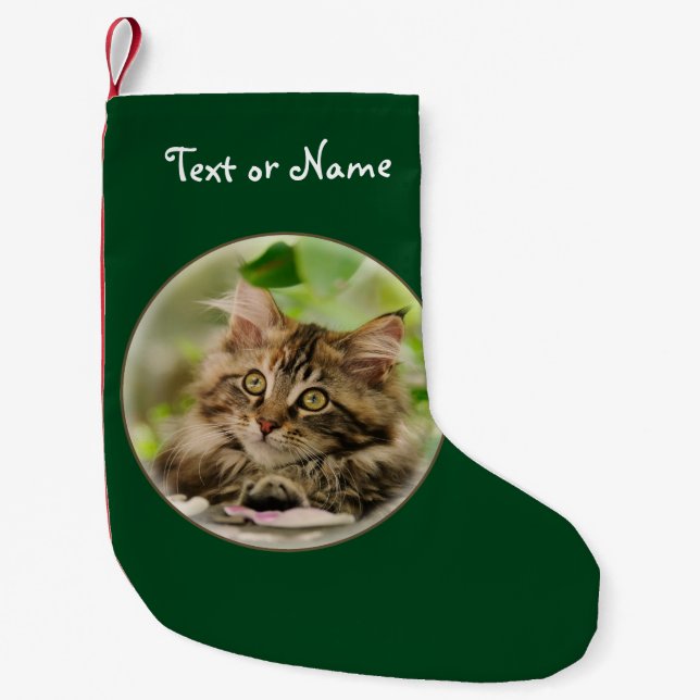 Cute Maine Coon Cat Kitten - Personalized Santa Small Christmas Stocking (Front)