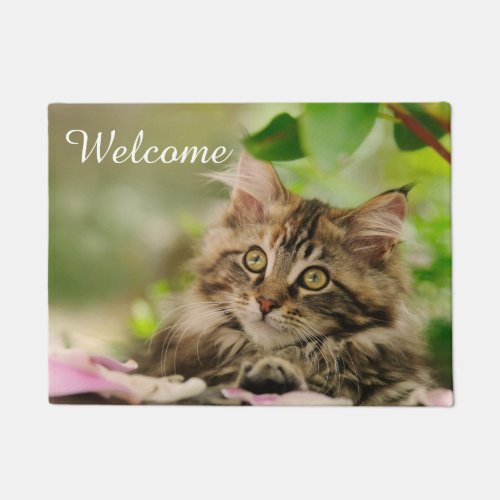 Cute Maine Coon Cat Kitten Photo _ Entry Welcome Doormat